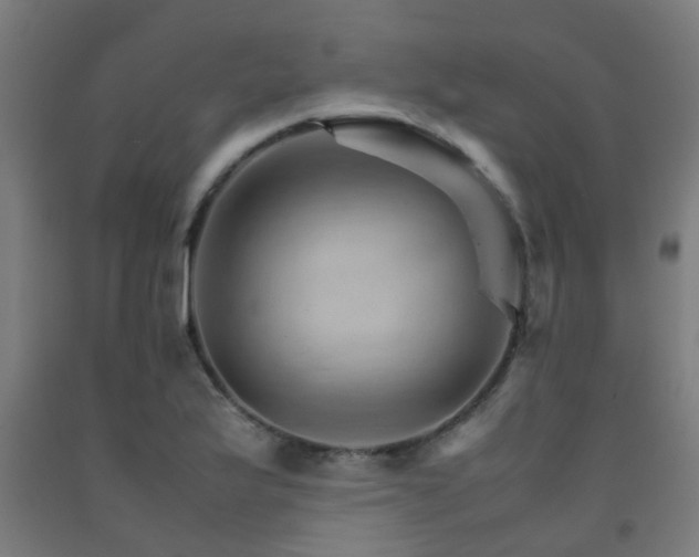 X0000093151175200709261439