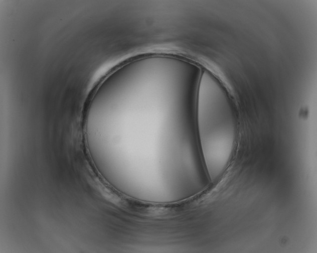 X0000093151176200709261439