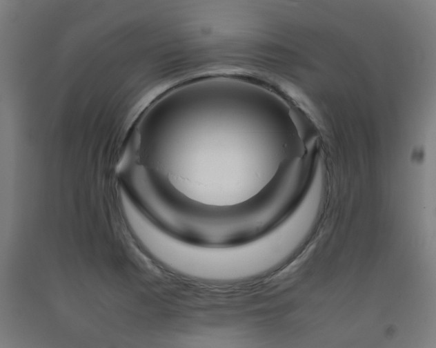 X0000093151177200709261439