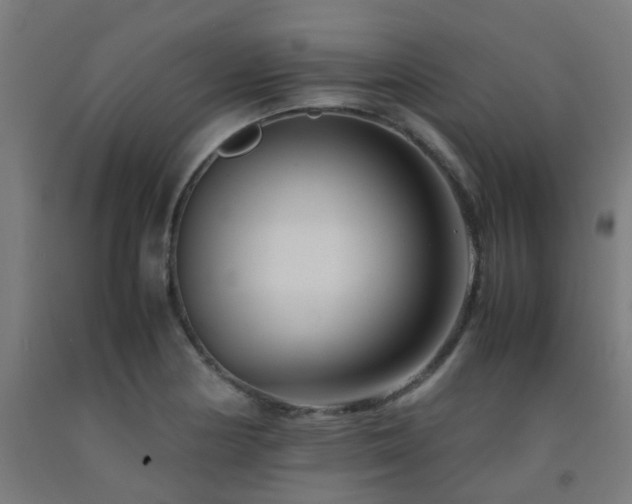X0000093151178200709261439