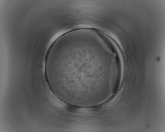 X0000093151179200709261439