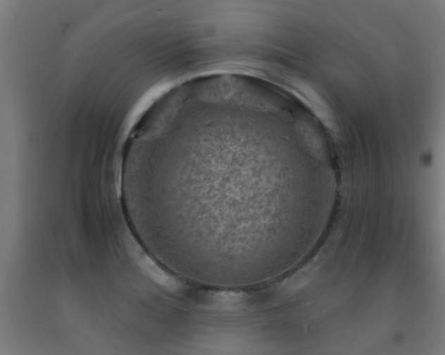 X0000093151180200709261439