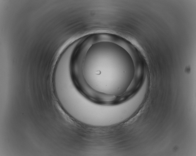 X0000093151181200709261439