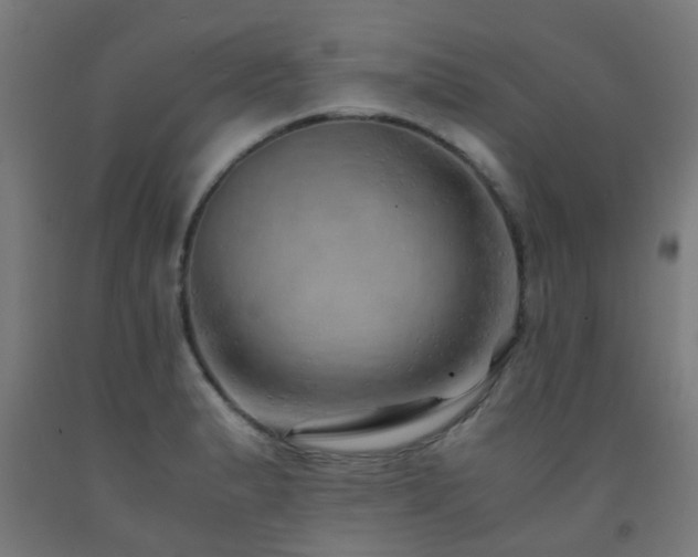 X0000093151183200709261439