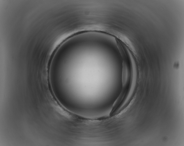 X0000093151184200709261439
