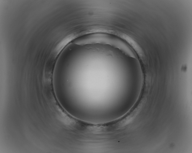 X0000093151185200709261439