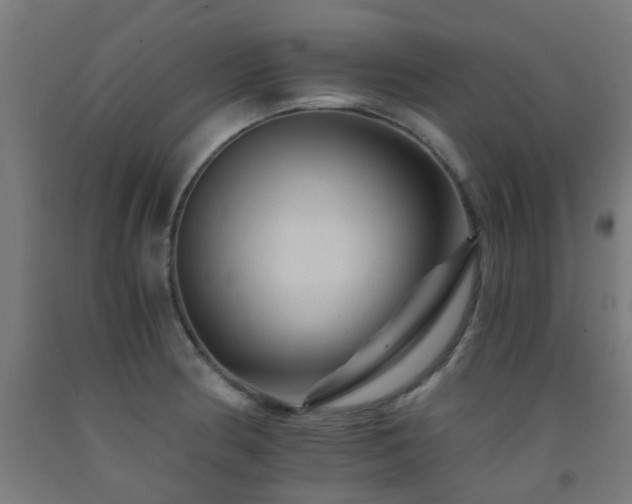 X0000093151186200709261439