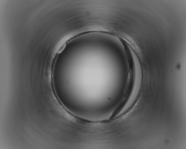 X0000093151188200709261439