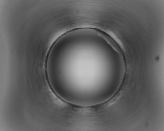 X0000093151189200709261439