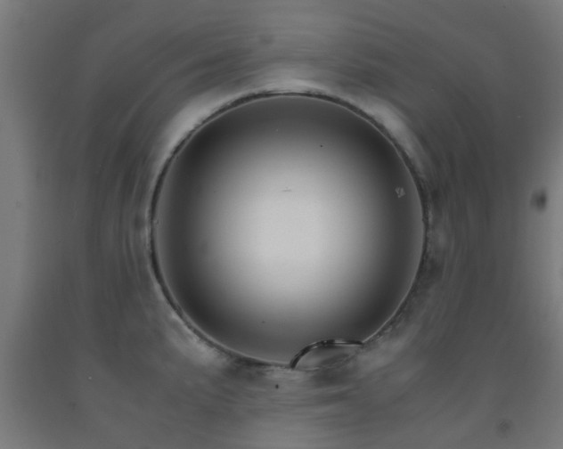 X0000093151191200709261439