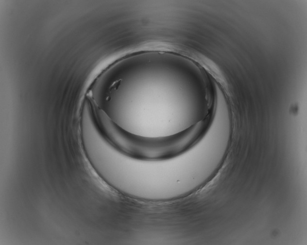 X0000093151192200709261439