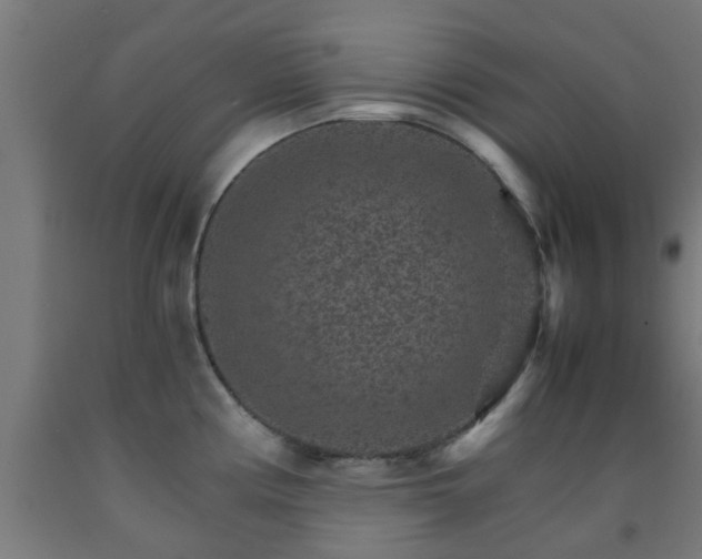 X0000093151194200709261439