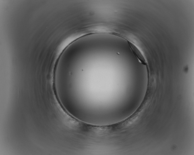 X0000093151195200709261439