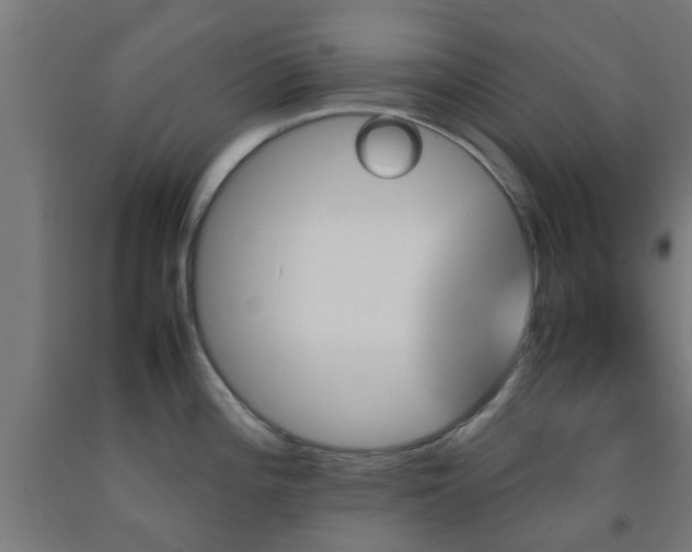 X0000093151196200709261439