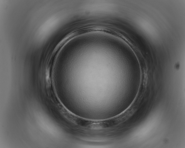 X0000093151198200709261439