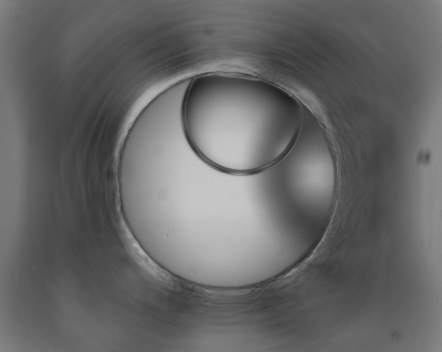 X0000093151200200709261438