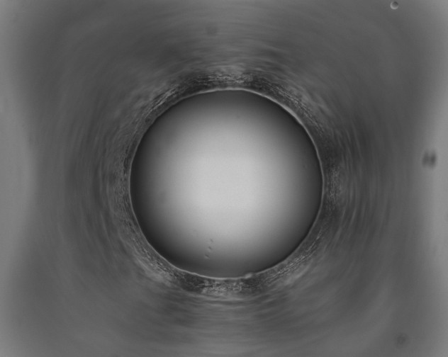 X0000093151201200709261438