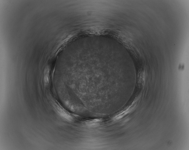X0000093151202200709261438