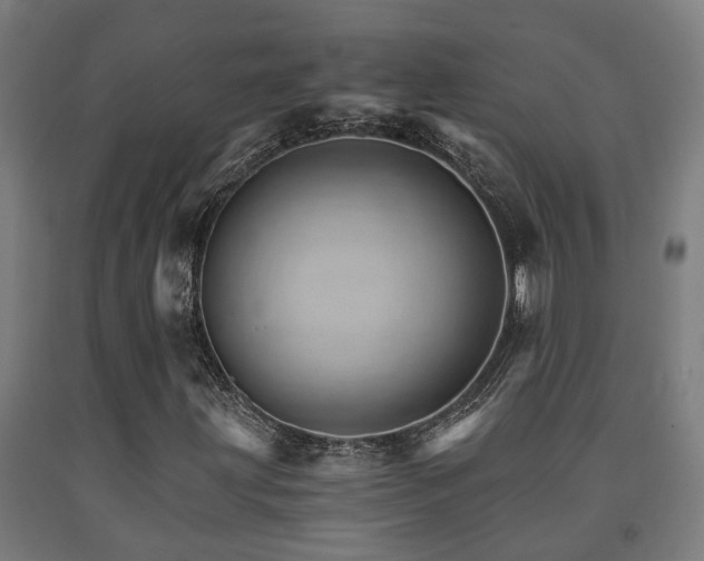 X0000093151203200709261438