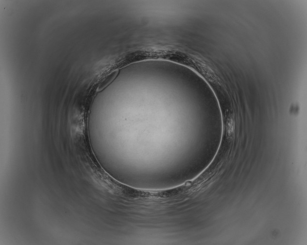 X0000093151204200709261438