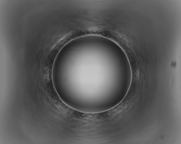 X0000093151205200709261438