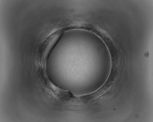 X0000093151206200709261438