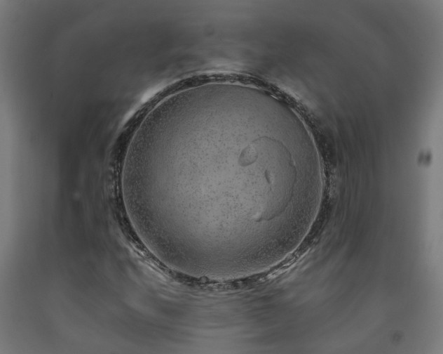 X0000093151208200709261438