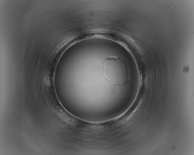 X0000093151209200709261438