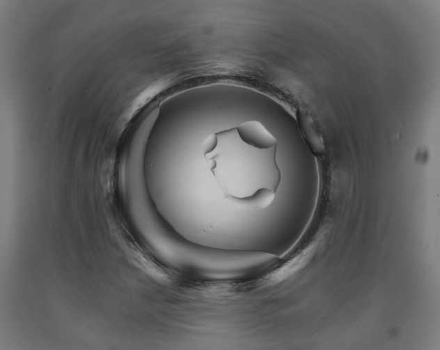 X0000093151210200709261438