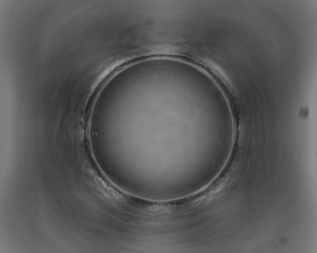X0000093151212200709261438