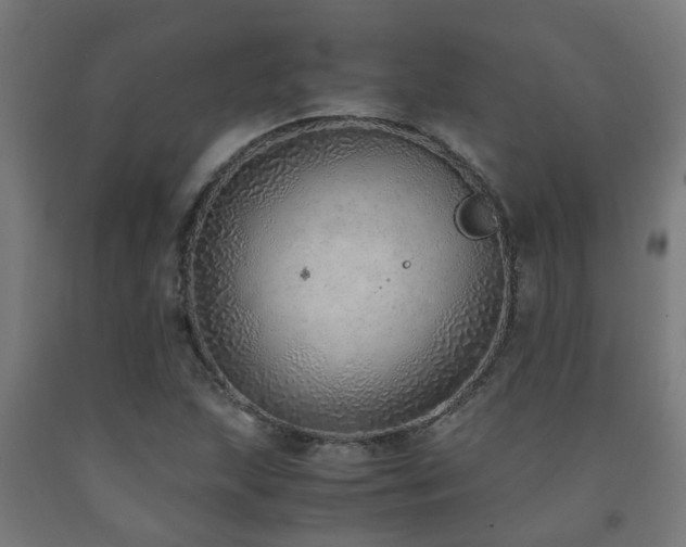 X0000093151215200709261438