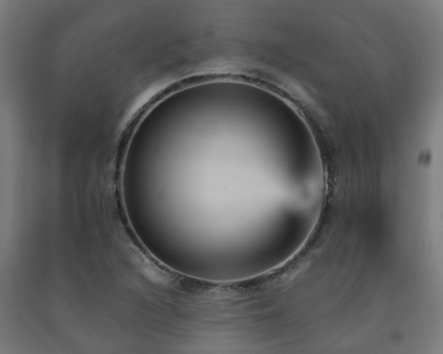 X0000093151216200709261438