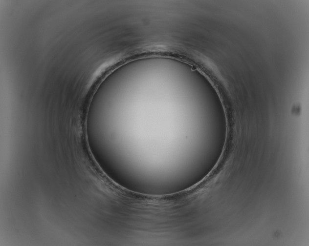 X0000093151218200709261438