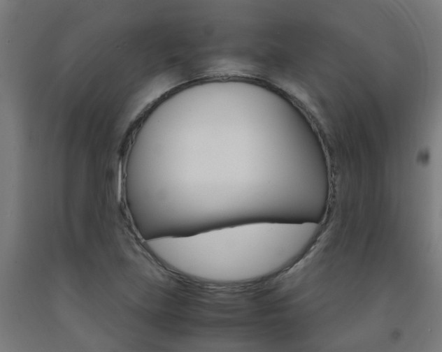 X0000093151219200709261438