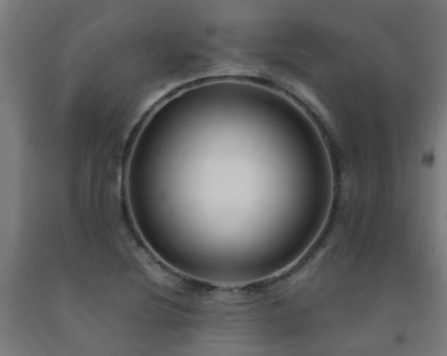 X0000093151220200709261438