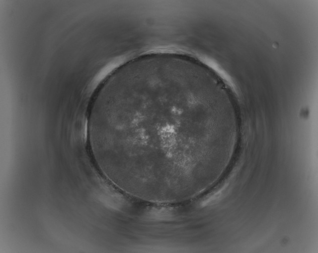X0000093151221200709261438