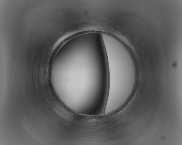 X0000093151222200709261438