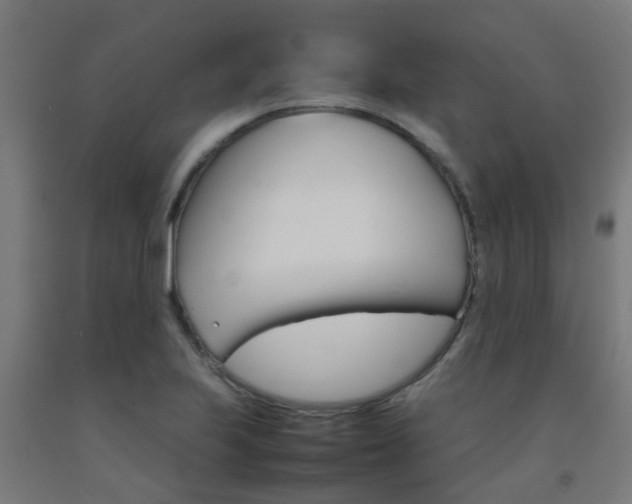 X0000093151223200709261438