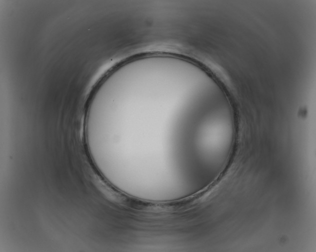 X0000093151224200709261438