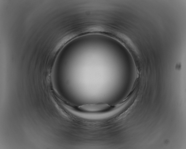 X0000093151225200709261438