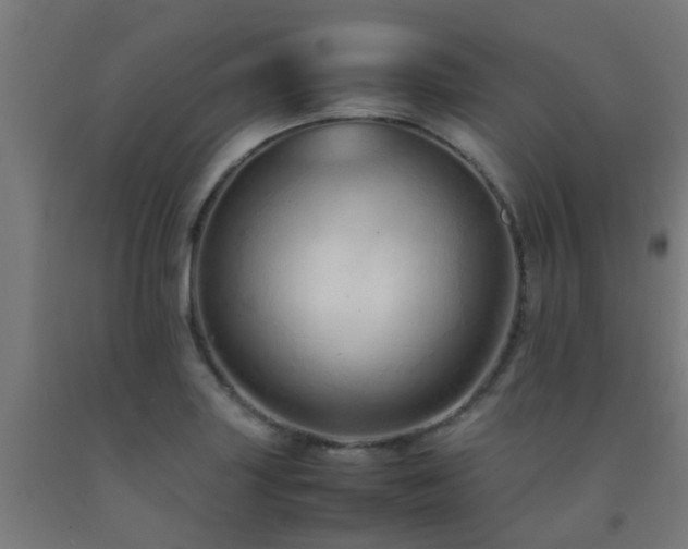 X0000093151227200709261438