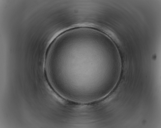 X0000093151228200709261438