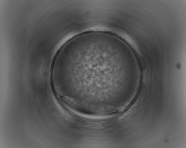 X0000093151229200709261438
