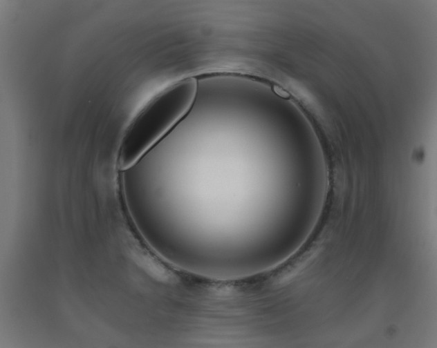 X0000093151230200709261438