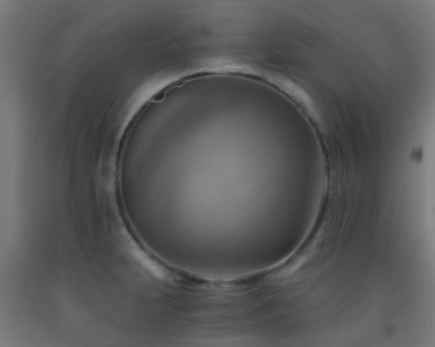 X0000093151231200709261438