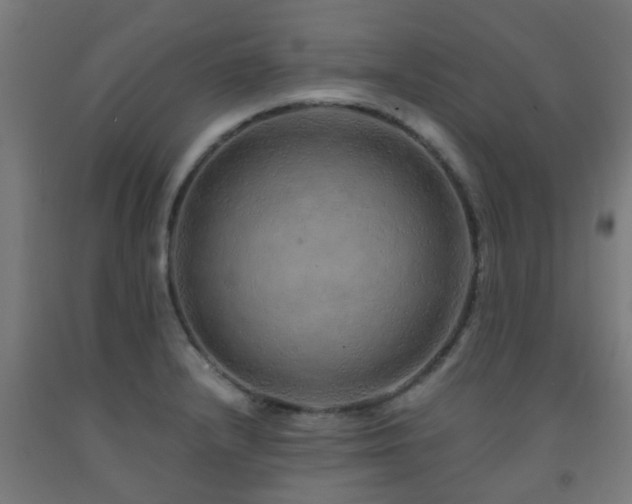 X0000093151232200709261438