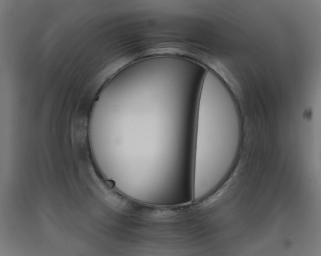 X0000093151233200709261438