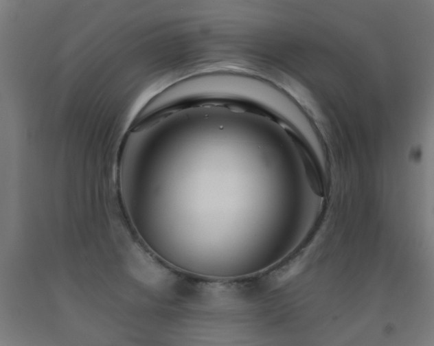 X0000093151234200709261438