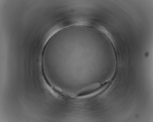 X0000093151235200709261438