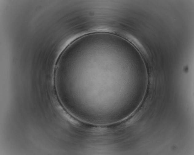 X0000093151236200709261438
